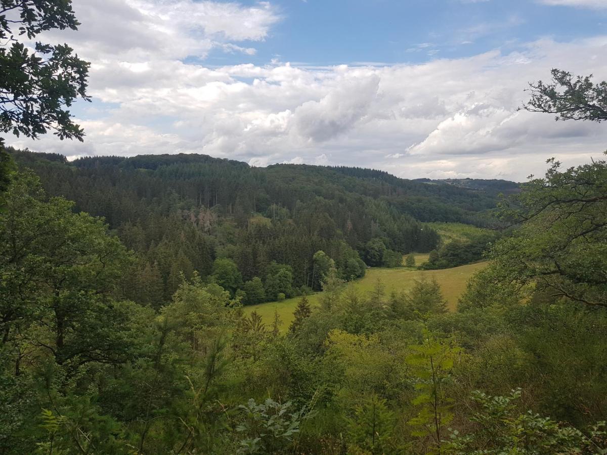 Altes Schreiner Haus In Der Vulkaneifel Brockscheid Exterior photo